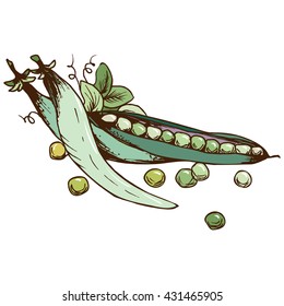 Illustration of peas