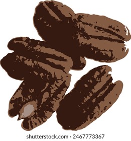 An illustration of pecan nuts showcases their distinctive shape, with smooth, oblong shells and ridged surfaces. The nuts are a rich, earthy brown color, with hints of lighter hues.
