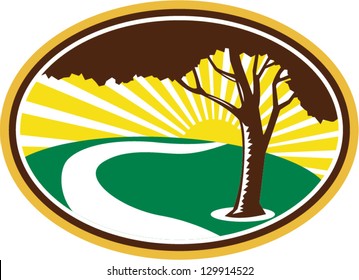 Illustration of a pecan tree silhouette with winding river stream and sunburst in background done in retro style.