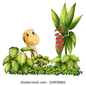 Illustration of a peeking snake on a white background