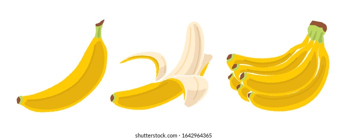 Illustration of peeled banana or bunch of bananas