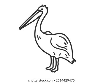 Illustration of a pelican (line drawing).
