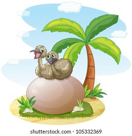 illustration of pelican sitting on rock on white