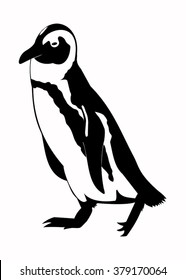 Illustration of the penguin