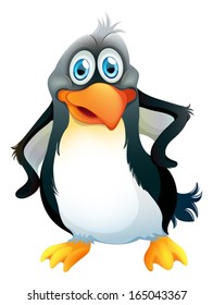 Illustration of a penguin on a white background