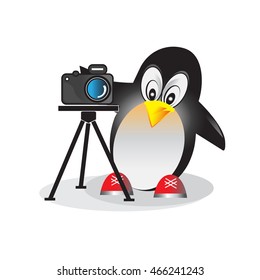 Illustration of penguin with photo camera. Branding illustration for photo studio or company.