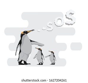 Illustration of a penguin. vector illustration of King penguin 