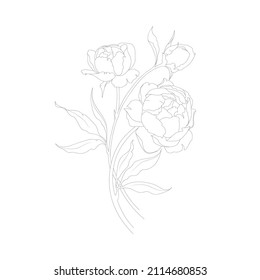 Illustration with peonies flower isolated on white background. Vector illustration. Black silhouette. Realistic peony vector illustration. Hand drawn vector illustration. 