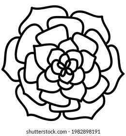 Illustration with peony flower isolated on white background.Vector illustration. Black Silhouette.Peony Realistic Vector illustration.Peony. Hand drawn vector doodle.