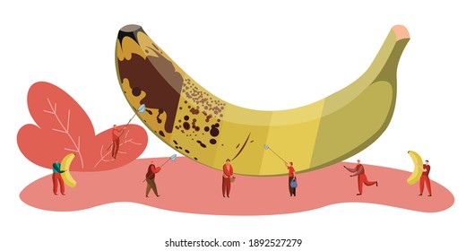 Illustration of people are choosing to eat a ripe banana. Suitable for vegetarians, making them healthy, high in vitamins