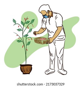 Illustration of people harvesting vegetables or fruit planted in pots