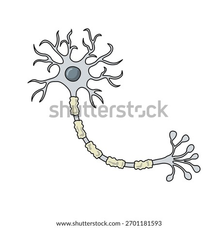 Illustration of peripheral neuropathy cell structure, damaged myelin sheath. Impaired signal transmission, pain, and weakness. Unhealthy myelin sheath, vector illustration for medical, poster elements