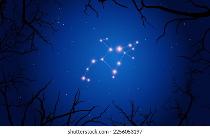 Ilustración de la constelación de Perseo. Constelación brillante en el espacio abierto, cielo azul. Cielo estrellado detrás de la silueta de los árboles