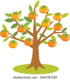 Illustration of a persimmon tree