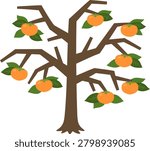 An illustration of a persimmon tree bearing fruit