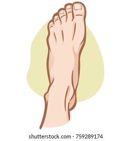 Illustration person, human foot, Caucasian, top view. Ideal for catalogs, informational and institutional guides