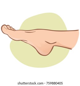 Illustration person, human foot, caucasian, side view. Ideal for catalogs, informational and institutional guides