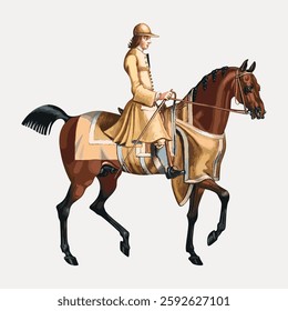 Illustration of a person riding a horse. The rider wears a uniform and helmet. The horse is adorned with a matching saddle and blanket. Equestrian theme. Vintage woman illustration vector.