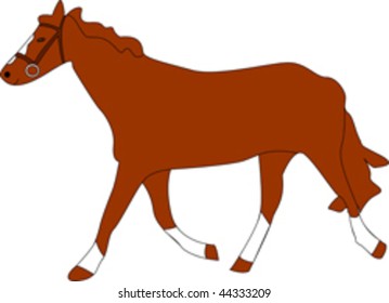   Illustration of pet animal horse