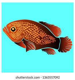 illustration of pet fish