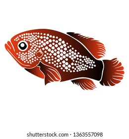 illustration of pet fish