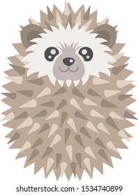 Illustration of a pet hedgehog.