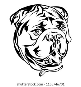 Illustration pet for merchandise or logo