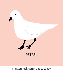 Illustration with petrel. Cute cartoon character. 