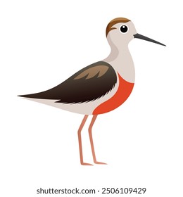 Illustration of Phalarope bird on white