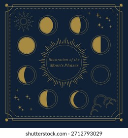 Ilustración de las fases de la luna