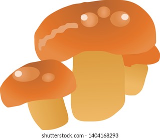 Illustration of the Pholiota nameko