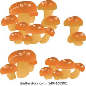 Illustration of the Pholiota nameko
