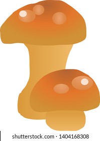 Illustration of the Pholiota nameko