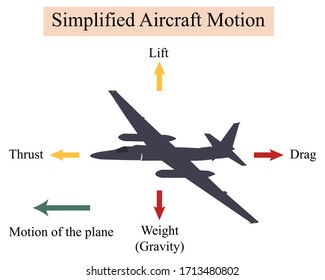 Illustration of physic. Four main different forces an airplane is undergoing. The forces affect the flight abilities of planes and birds. These forces are weight or gravity, lift, drag, and thrust.