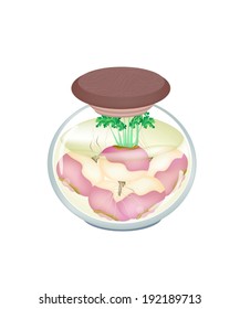Illustration of Pickled Purple Turnip in Vinegar, Sugar, Salt and Condiment in A Glass Jar. 