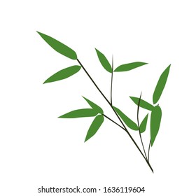 illustration of a piece of bamboo leaf branch - vector