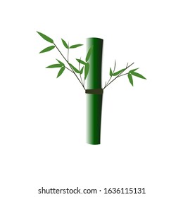 illustration of a piece of bamboo - vector