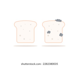 illustration of a piece of white bread that is still in good condition and a piece of white bread that is in bad condition or not fit to eat. moldy and expired bread. before after. food. vector