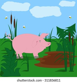Illustration with a pig
