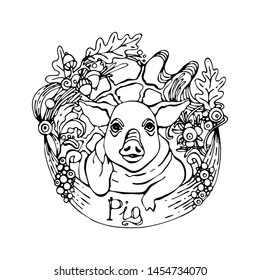 Illustration with pig, acorns, leaves and berries.