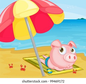 Illustration of pig at the beach