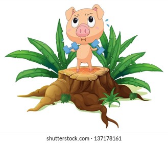 Illustration of a pig exercising above the stump on a white background
