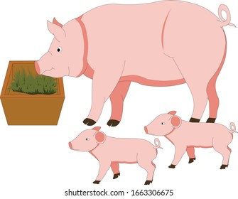 illustration of pig famliy vector