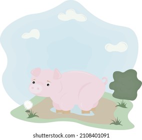 illustration of a pig in a meadow in a puddle