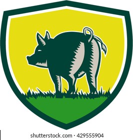 Illustration of a pig standing showing pigtail viewed from rear set inside shield crest done in retro woodcut style. 