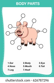 Illustration of pig vocabulary part of body,Write the correct numbers of body parts.vector