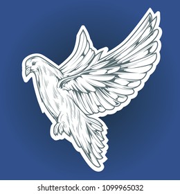 Illustration of a pigeon bird