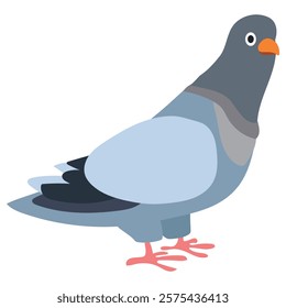 An illustration of a pigeon in colors and vector format.