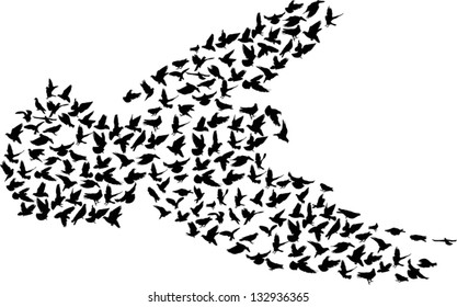 illustration with pigeon silhouettes isolated on white background