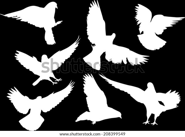 Illustration Pigeon Silhouettes Isolated On Black Stock Vector (Royalty ...